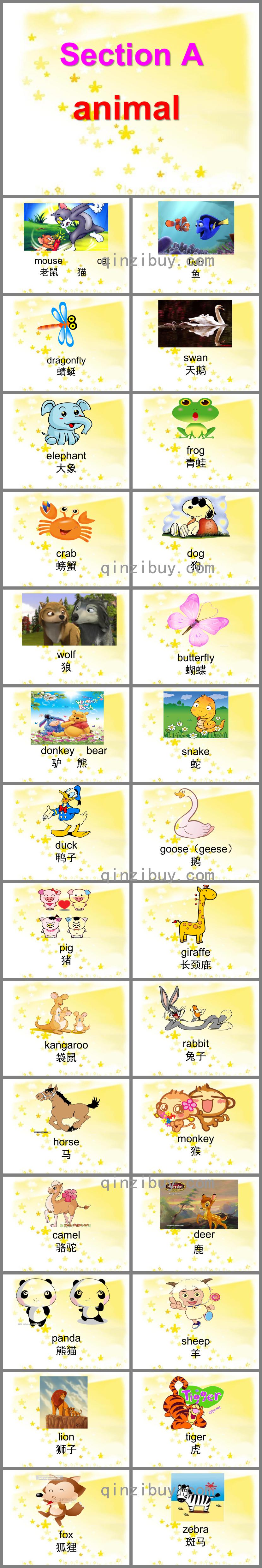 幼儿园小动物的英语单词PPT课件