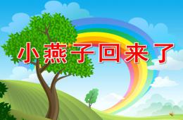 中班科学小燕子回来了PPT课件配音