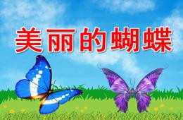 中班美术美丽的蝴蝶PPT课件音乐
