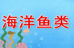 小班科学海洋鱼类PPT课件