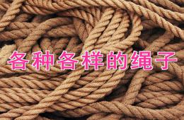 中班科学各种各样的绳子PPT课件