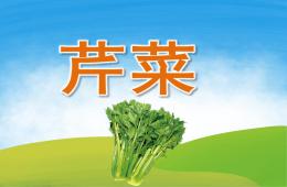 中班健康芹菜PPT课件