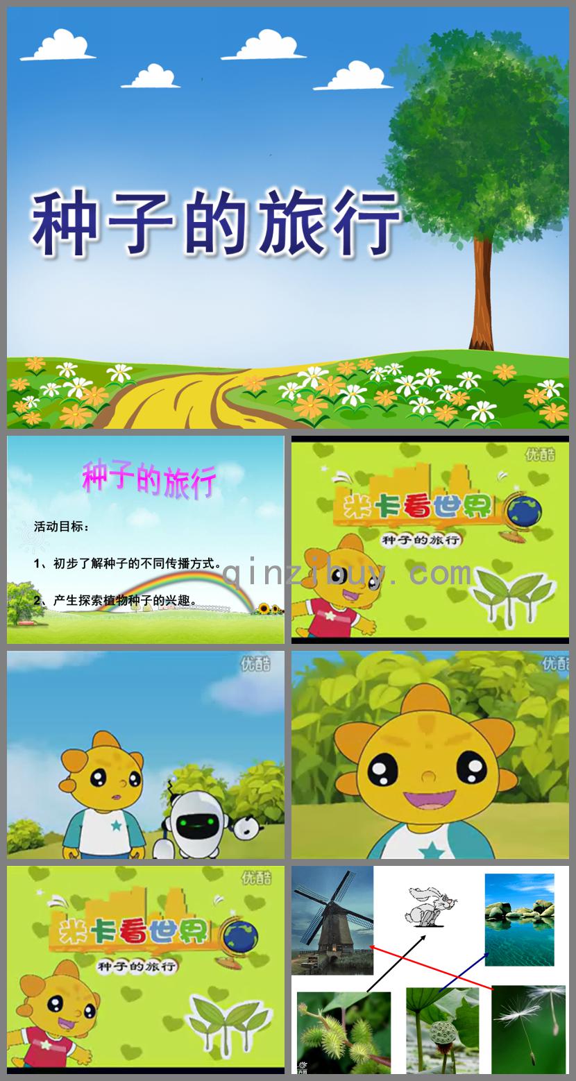 大班语言种子的旅行PPT课件音频视频