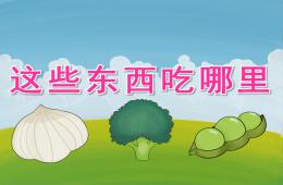 大班主题这些东西吃哪里PPT课件