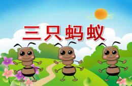 中班语言三只蚂蚁PPT课件