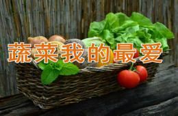 中班健康蔬菜我最爱PPT课件