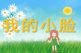 小班健康我的小脸PPT课件