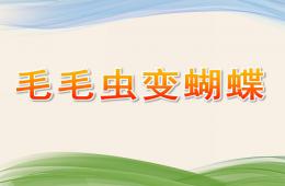 中班科学毛毛虫变蝴蝶PPT课件
