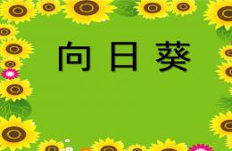 大班美术公开课向日葵PPT课件