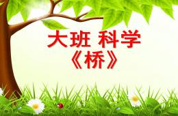 大班科学桥PPT课件