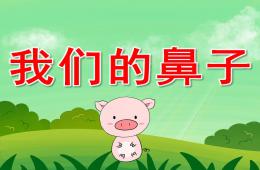 大班健康我们的鼻子PPT课件