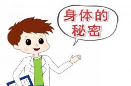 大班健康身体的秘密PPT课件