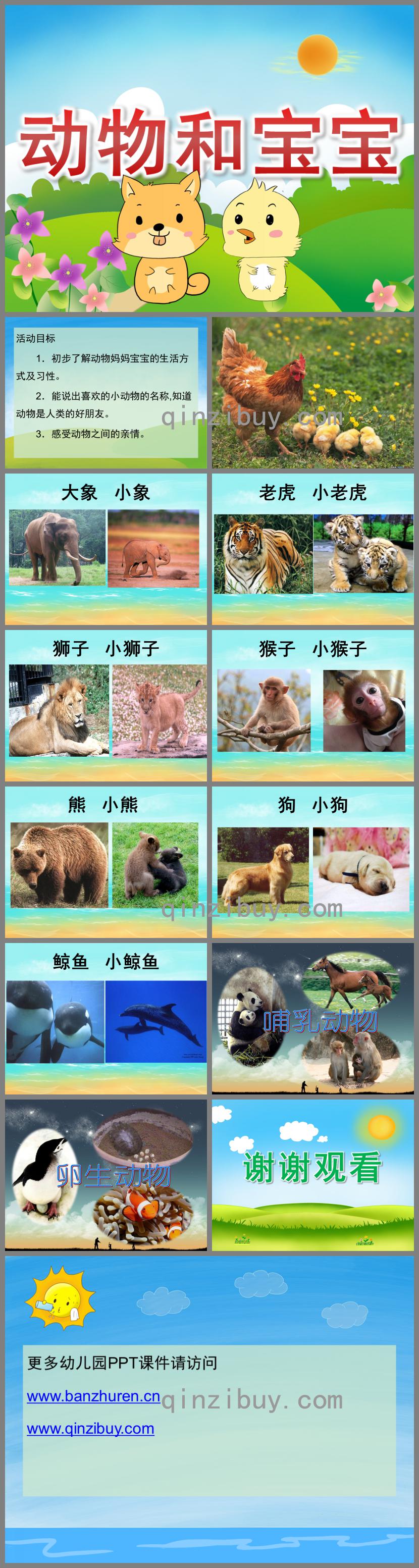 中班主题动物和宝宝PPT课件