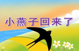 中班科学小燕子回来了PPT课件