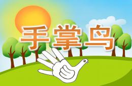 中班美术手掌鸟PPT课件
