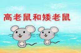 大班语言高老鼠和矮老鼠PPT课件