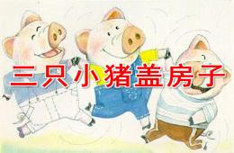 大班语言三只小猪盖房子PPT课件