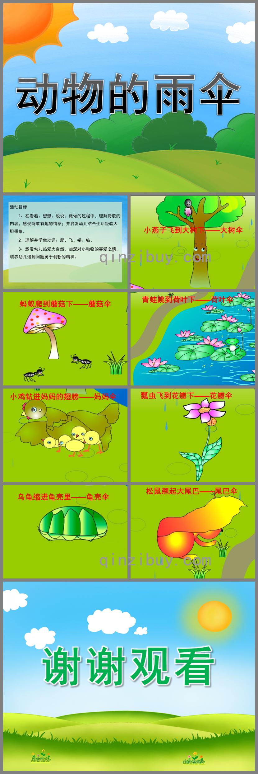 中班语言公开课动物的雨伞PPT课件