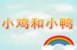 小班科学公开课小鸡和小鸭PPT课件