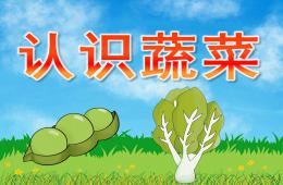 中班科学活动认识蔬菜PPT课件