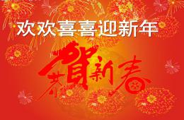 中班社会活动欢欢喜喜迎新年PPT课件