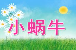 大班美术手工小蜗牛PPT课件