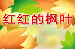 小班科学红红的枫叶PPT课件