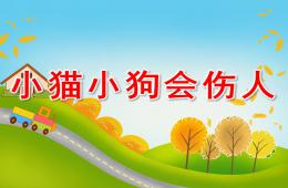 大班安全和宠物相处PPT课件