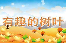中班科学有趣的树叶PPT课件