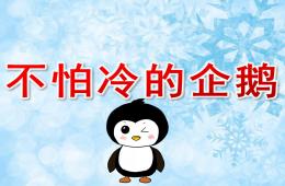 中班科学活动不怕冷的企鹅PPT课件