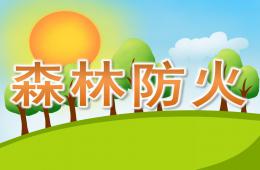 大班安全教育森林防火PPT课件