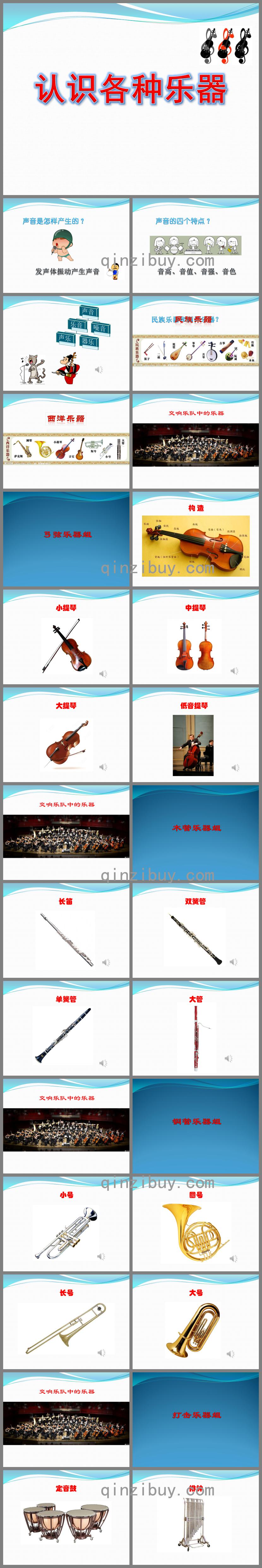 幼儿园音乐认识各种乐器PPT课件