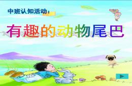 中班认知动物的尾巴PPT课件