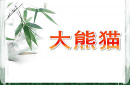 小班绘画大熊猫PPT课件