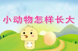 中班科学小动物怎样长大PPT课件