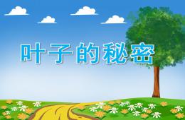 小班主题叶子的秘密PPT课件