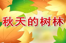 大班美术水粉画秋天的树林PPT课件音乐