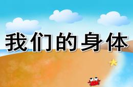小班助教我们的身体PPT课件