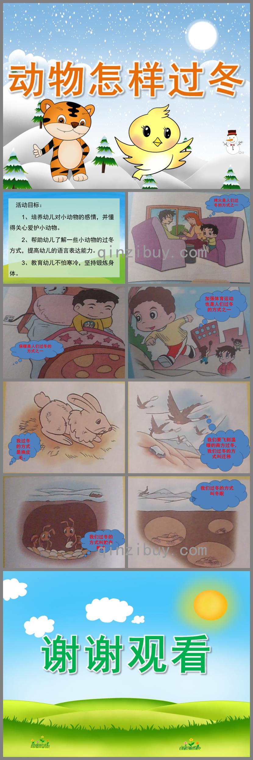小班科学动物怎样过冬PPT课件