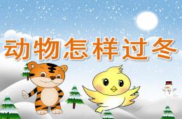 小班科学动物怎样过冬PPT课件