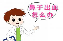 中班健康鼻子出血怎么办PPT课件