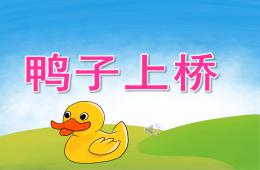 大班音乐鸭子上桥PPT课件音频