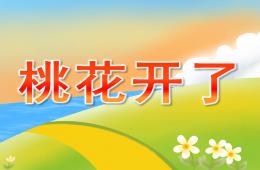 小班科学桃花开了PPT课件