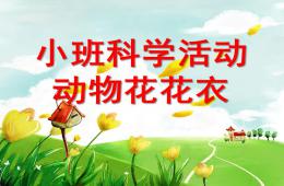 小班科学活动动物花花衣PPT课件
