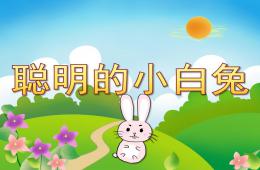 小班语言聪明的小白兔PPT课件音效