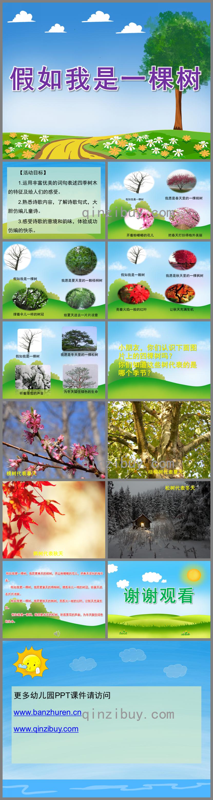 大班语言假如我是一棵树PPT课件音乐