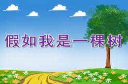 大班语言假如我是一棵树PPT课件音乐