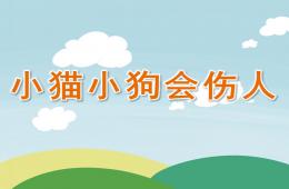 大班健康小猫小狗会伤人PPT课件