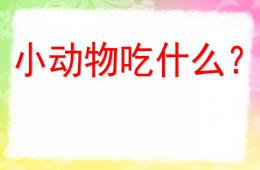 小班语言小动物喜欢吃什么PPT课件