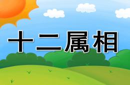 大班语言十二属相PPT课件